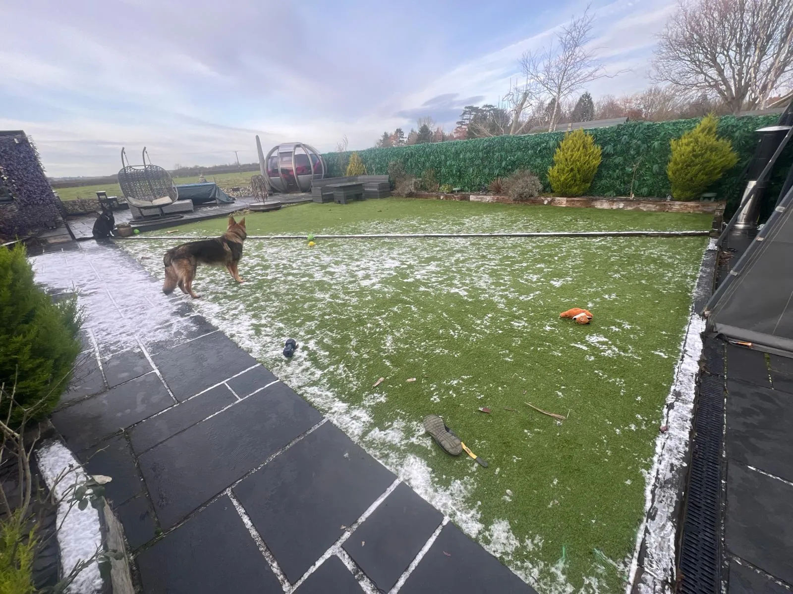The old artificial lawn in the snow, seen down the paving towards the terrace, with one of the dogs standing on it.