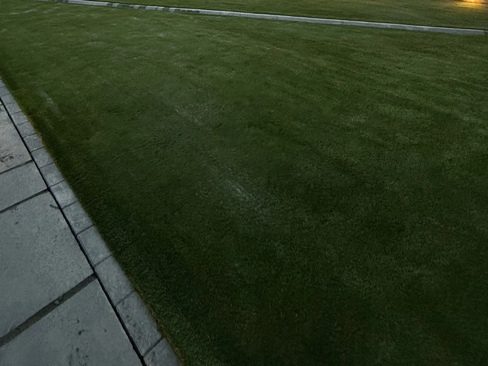 Close-up of the charcoal block edging between the paving and the lawn, with the grass glued to it.