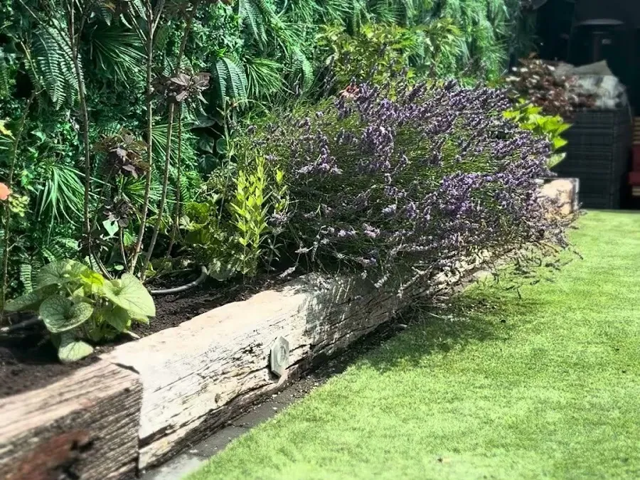 The long border beside the lawn, with a mound of purple flowers spilling over the sleeper edge.