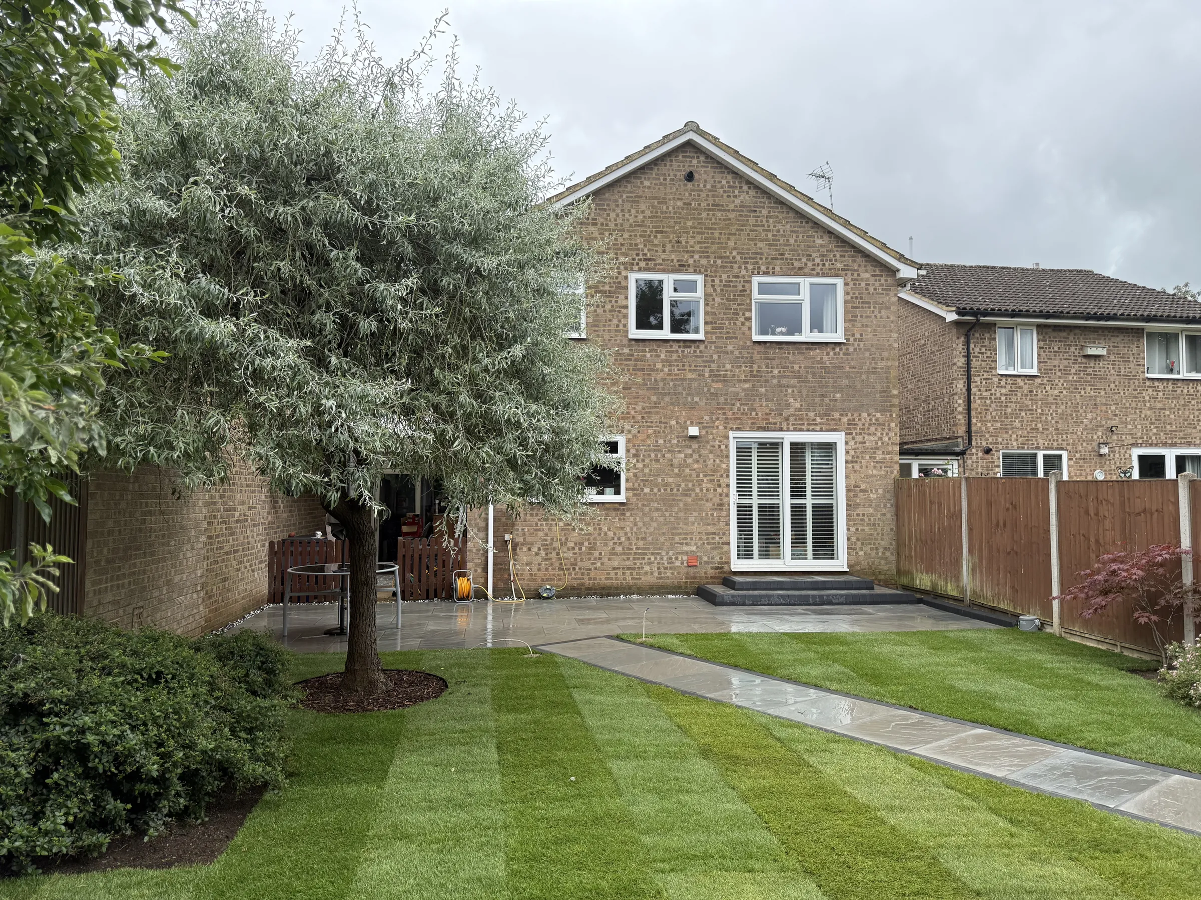The finished garden from the lawn, with new striped turf, a silver-leaved tree, and the sandstone path and patio leading to the house.
